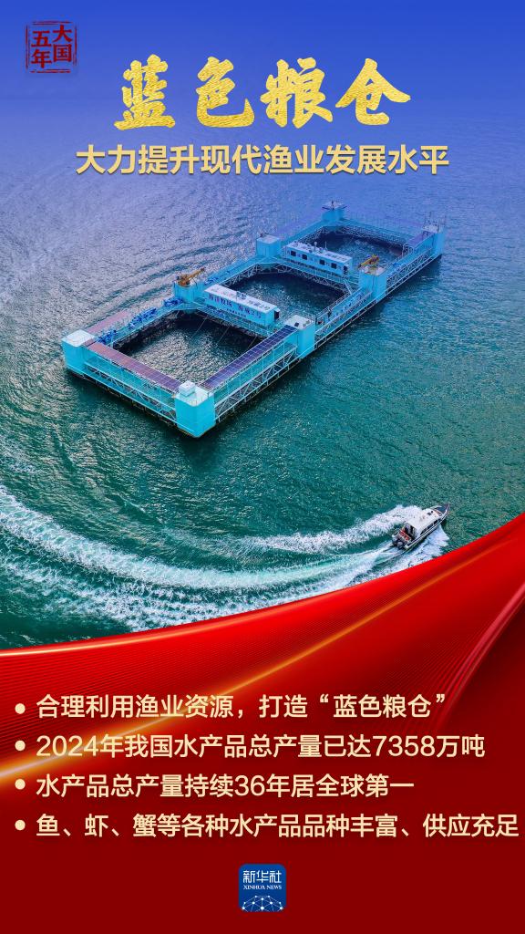 大国五年|大国饭碗,吃得好端得牢