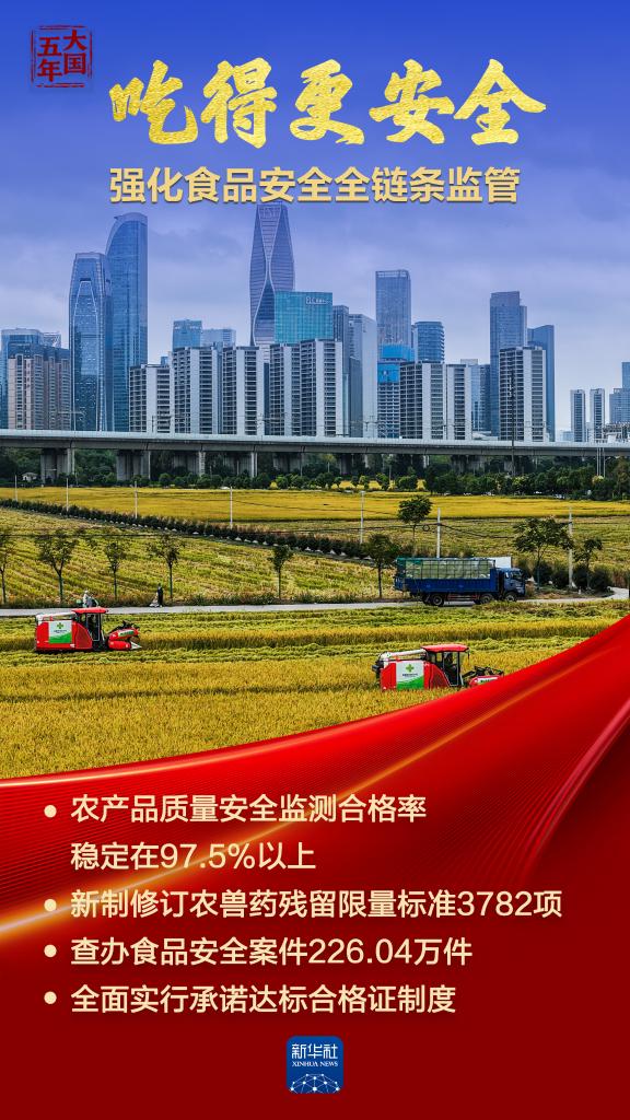 大国五年|大国饭碗,吃得好端得牢