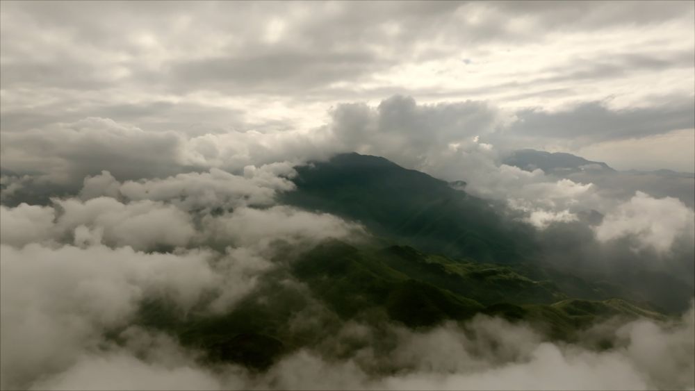 新华视点｜系列纪录片《大径山》第一集：参山