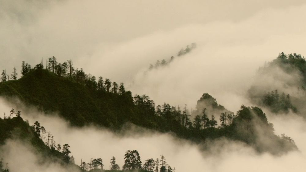 新华视点｜系列纪录片《大径山》第一集：参山