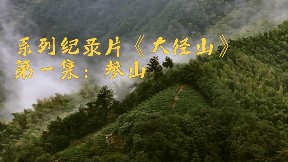 新华视点｜系列纪录片《大径山》第一集：参山