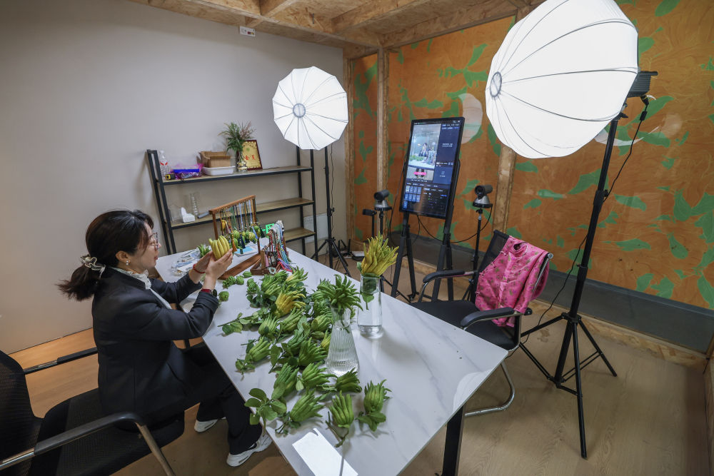 “十五五”规划建议诞生记