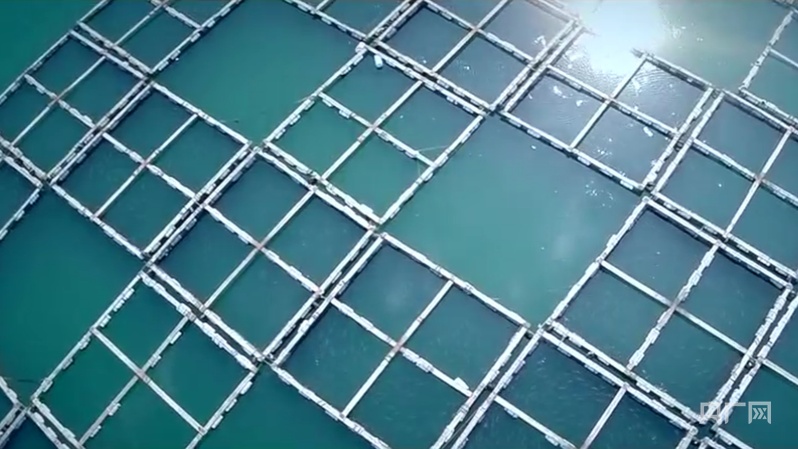 行进的海岸线丨记者亲历中国海上工程追“风” 绿能澎湃 行进的海岸线丨记者亲历中国海上工程追“风” 绿能澎湃