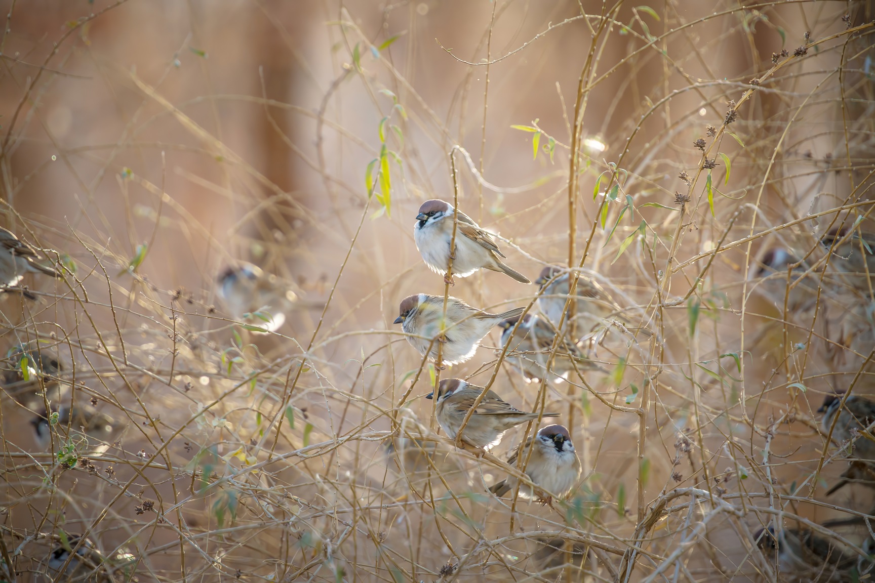 天山行纪|“死亡之海”开出“生命之路” 天山行纪|“死亡之海”开出“生命之路”