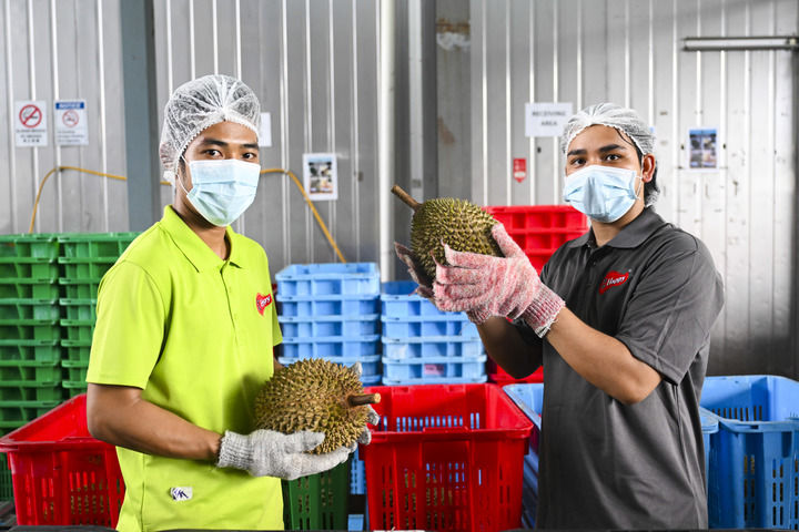 以中国式现代化新成就为亚太和世界提供新机遇——习近平主席重要讲话为共建开放型亚太经济指引方向汇聚力量