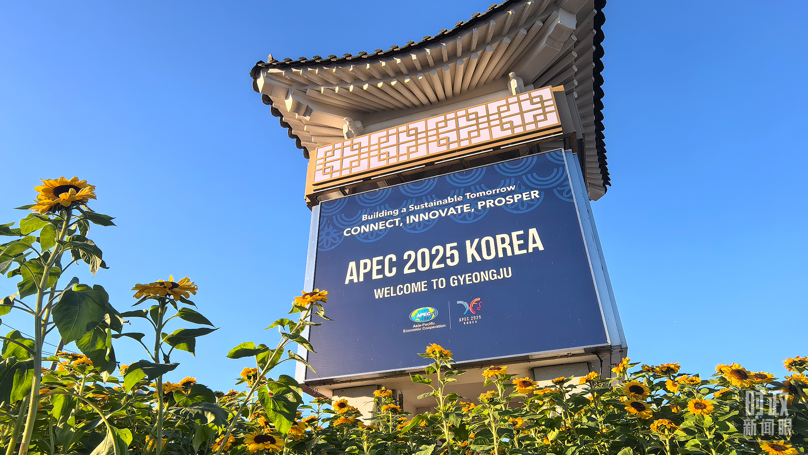 时政新闻眼丨如何推动亚太开放合作，习近平提出这些重要主张