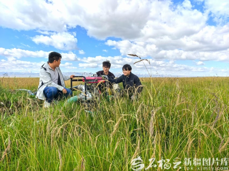 祖国大家庭的温暖丨牧区转型走出双赢路