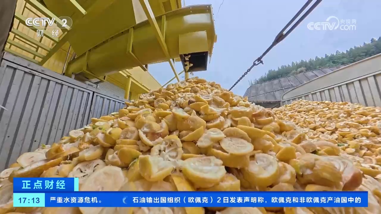 从“论斤卖”到“论克卖” 一颗柠檬身价倍增！