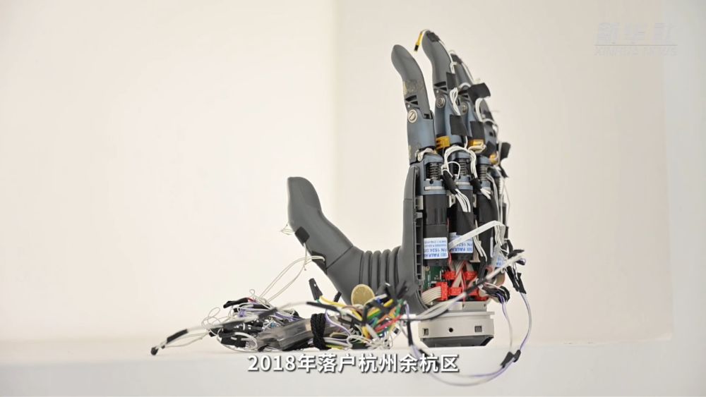 四中全会精神在基层｜从实验室到“实景图”：浙江科创企业如何炼就新质生产力