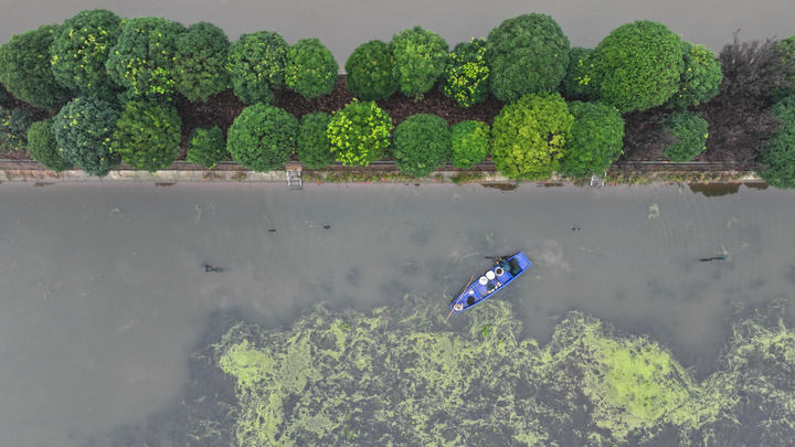 四中全会精神在基层｜锚定高质量发展，书写中部崛起新篇章