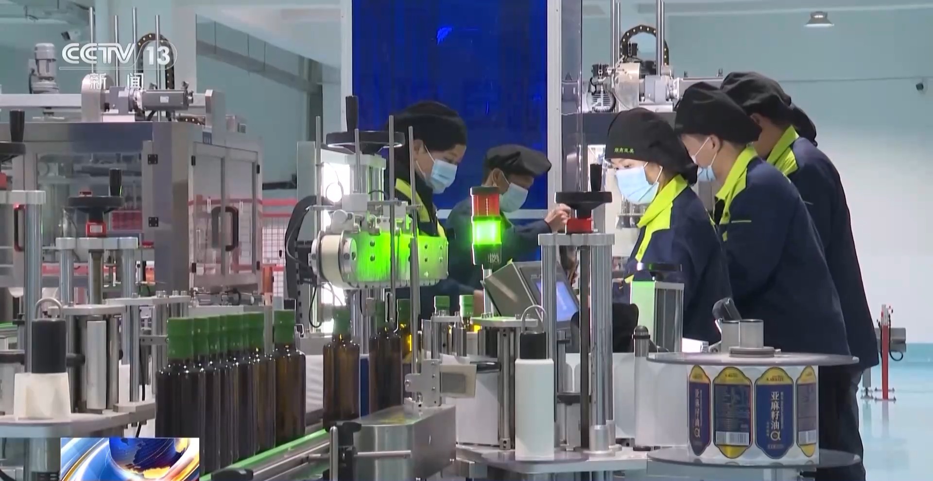 浑身是宝！一颗油茶果如何“榨”出近千亿绿色产值？