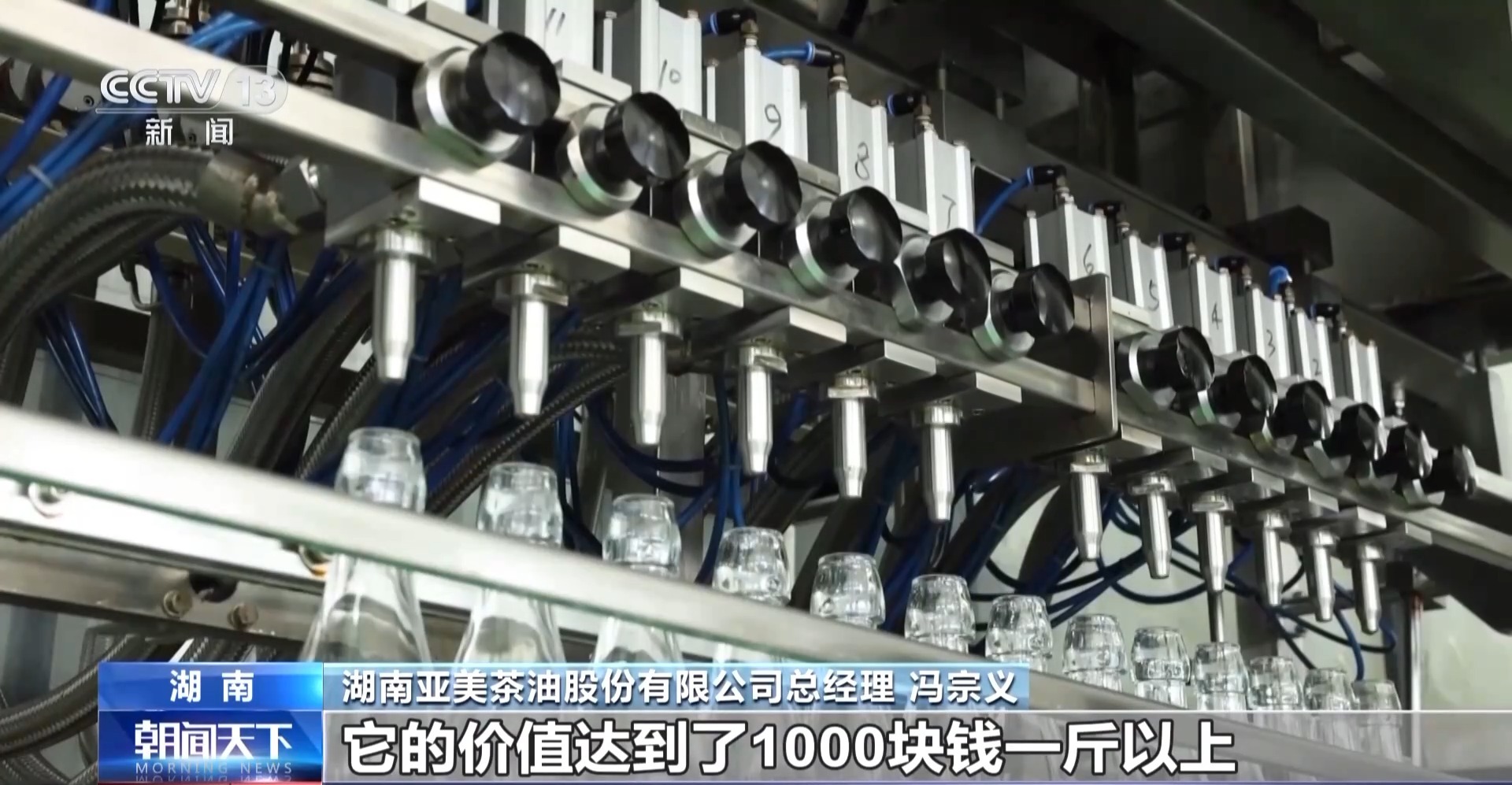 浑身是宝！一颗油茶果如何“榨”出近千亿绿色产值？