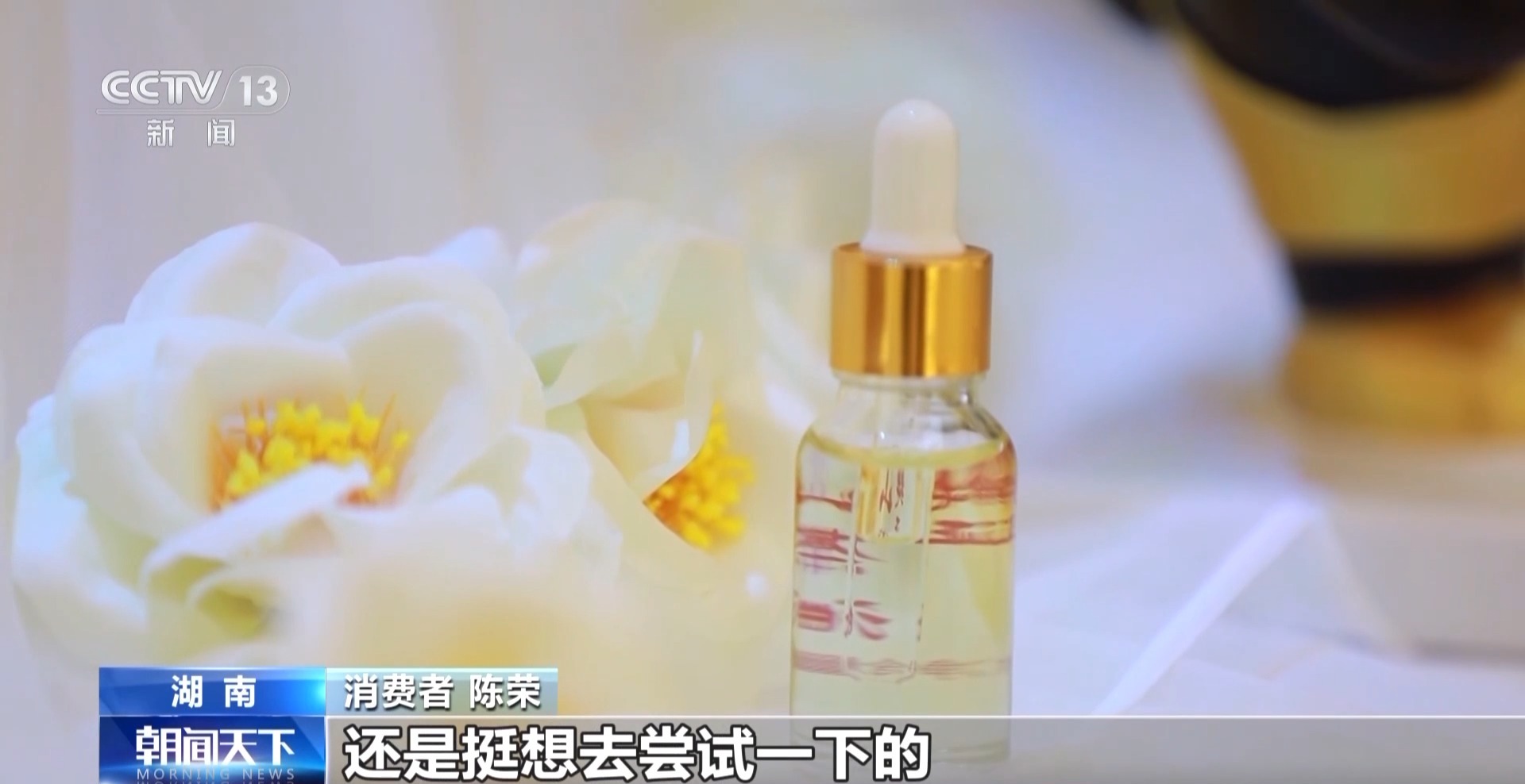 浑身是宝！一颗油茶果如何“榨”出近千亿绿色产值？