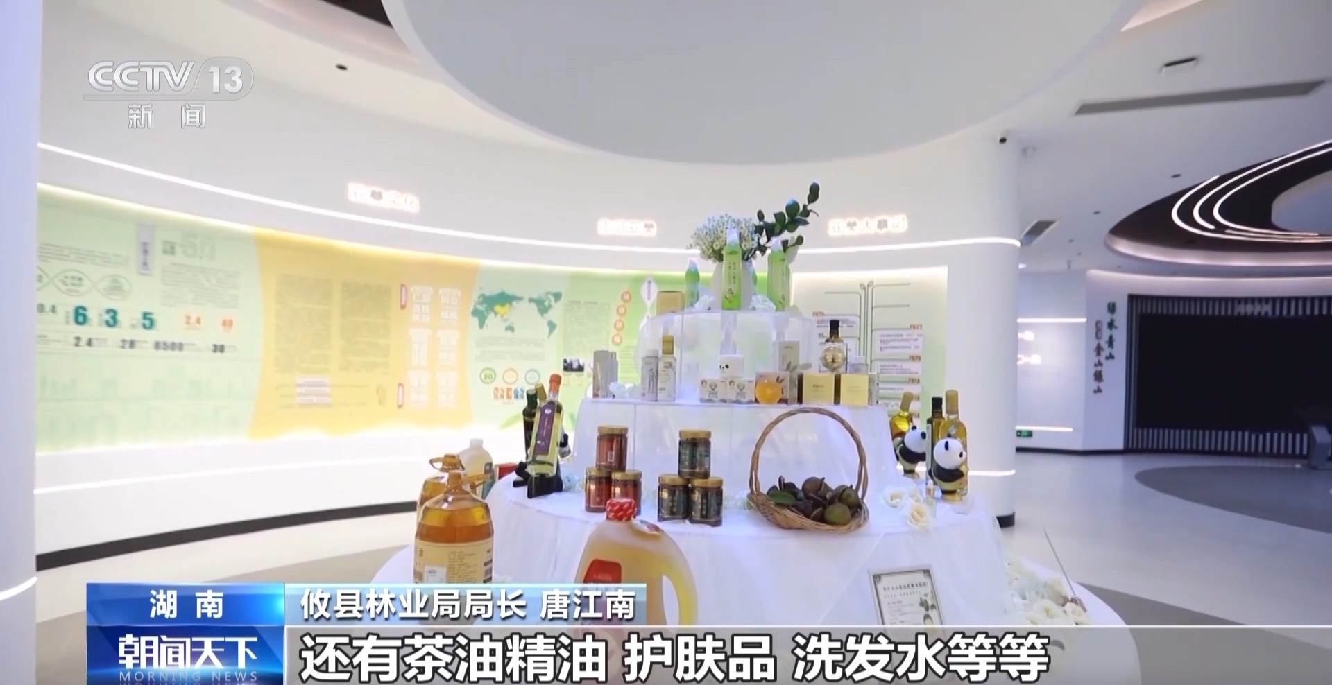 浑身是宝！一颗油茶果如何“榨”出近千亿绿色产值？