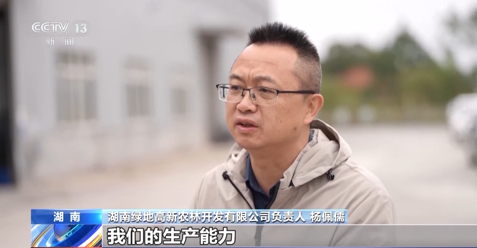 浑身是宝！一颗油茶果如何“榨”出近千亿绿色产值？