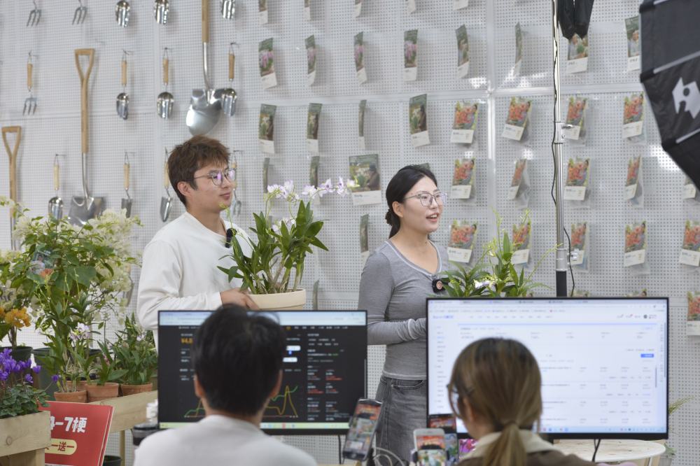 四中全会精神在基层|建起棒球场,组团种花卉——浙江嘉兴村庄走出抱团发展共富路 四中全会精神在基层|建起棒球场,组团种花卉——浙江嘉兴村庄走出抱团发展共富路