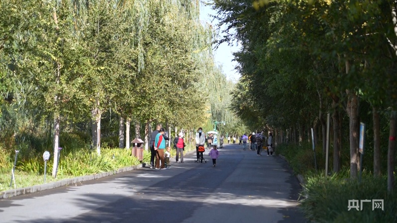 【人民城市·温情中国】边疆“绣”绿洲 文“润”细无声