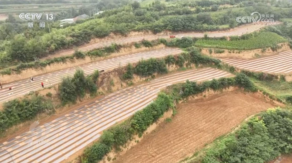 焦点访谈|攥紧农业“芯片” 提稳中国“菜篮子”