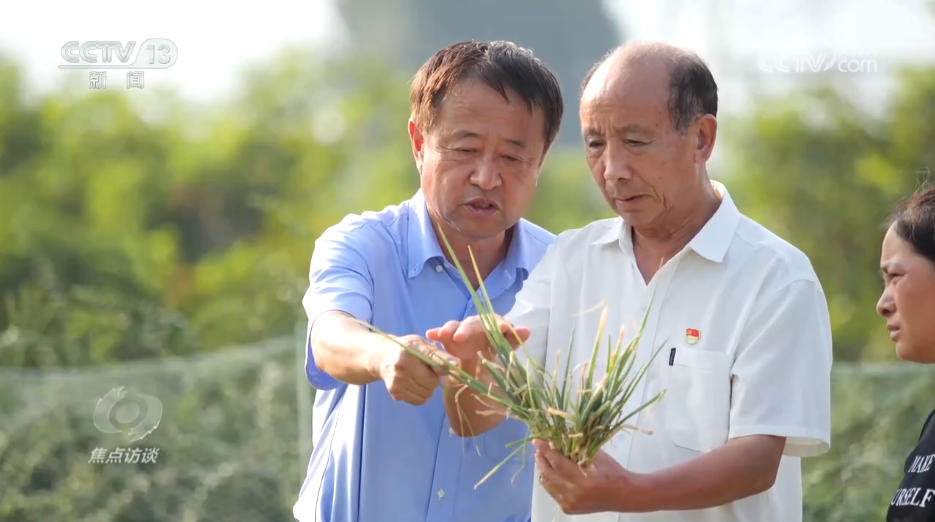 焦点访谈|攥紧农业“芯片” 提稳中国“菜篮子”