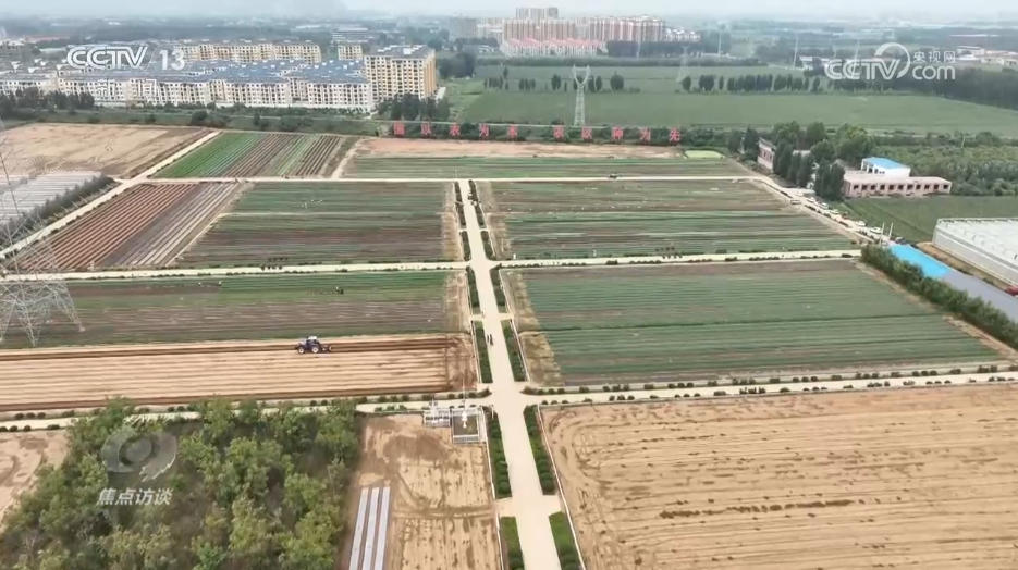 焦点访谈|攥紧农业“芯片” 提稳中国“菜篮子”