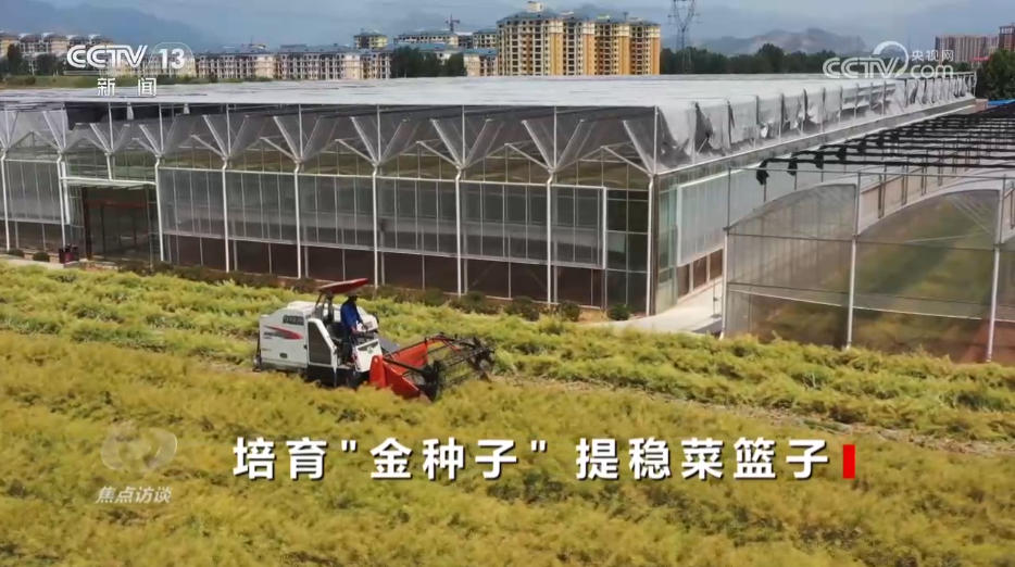 焦点访谈|攥紧农业“芯片” 提稳中国“菜篮子”