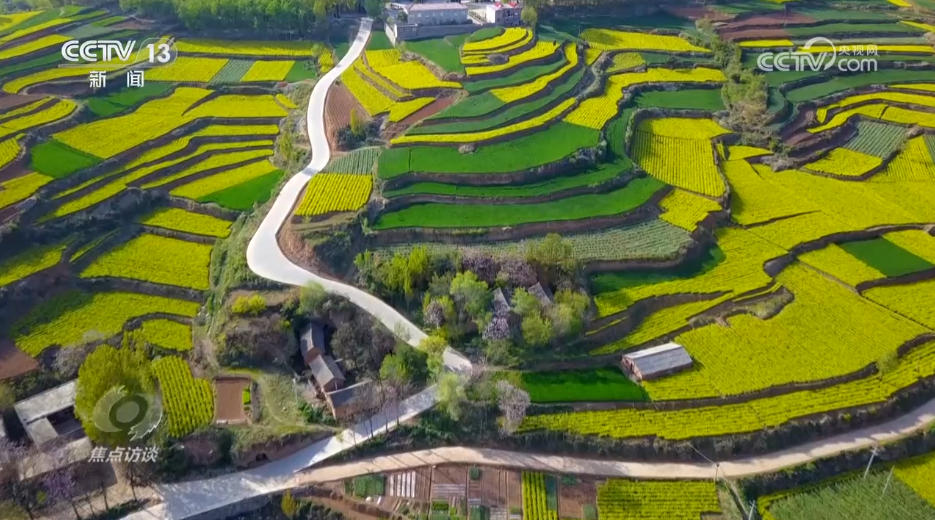 焦点访谈|攥紧农业“芯片” 提稳中国“菜篮子”