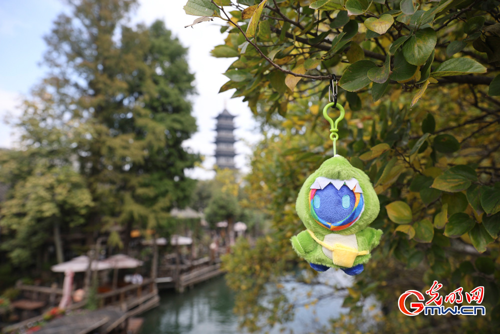 【乌镇视窗】小互的乌镇漫步:一场古镇与数字的对话 【乌镇视窗】小互的乌镇漫步:一场古镇与数字的对话