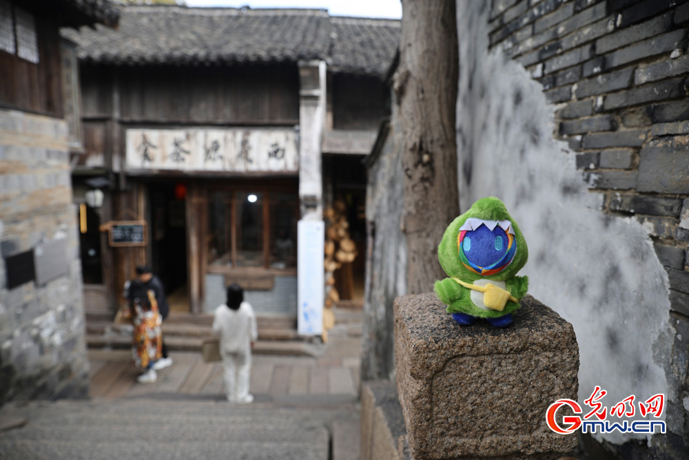 【乌镇视窗】小互的乌镇漫步:一场古镇与数字的对话 【乌镇视窗】小互的乌镇漫步:一场古镇与数字的对话