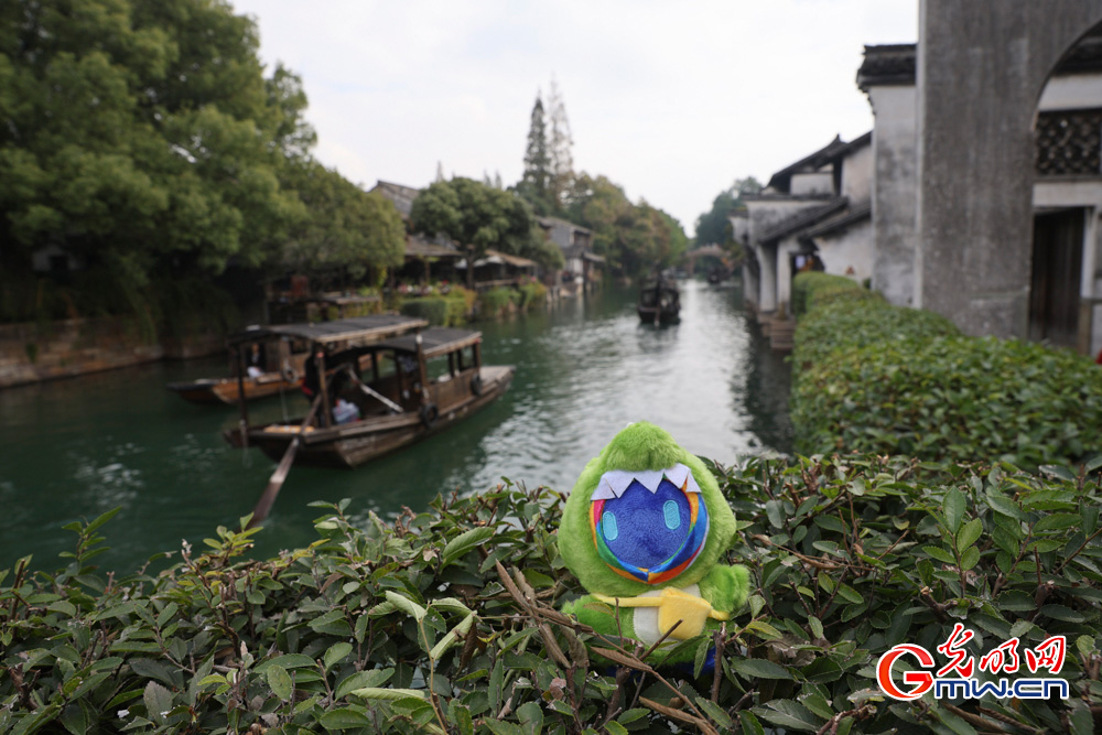 【乌镇视窗】小互的乌镇漫步:一场古镇与数字的对话 【乌镇视窗】小互的乌镇漫步:一场古镇与数字的对话