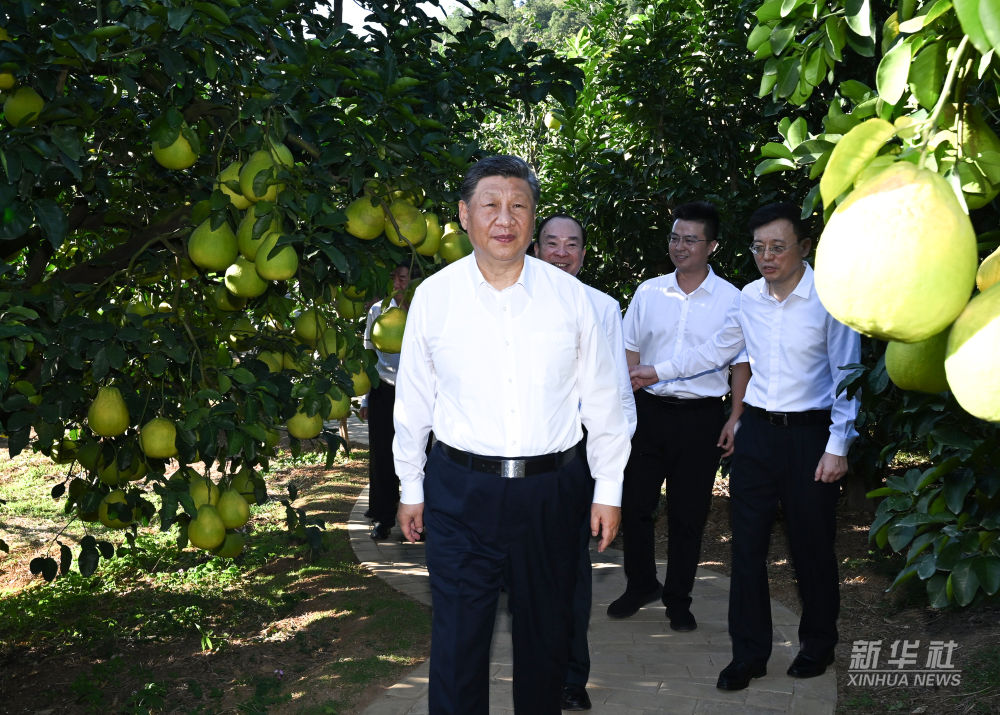习近平在广东省梅州市考察调研