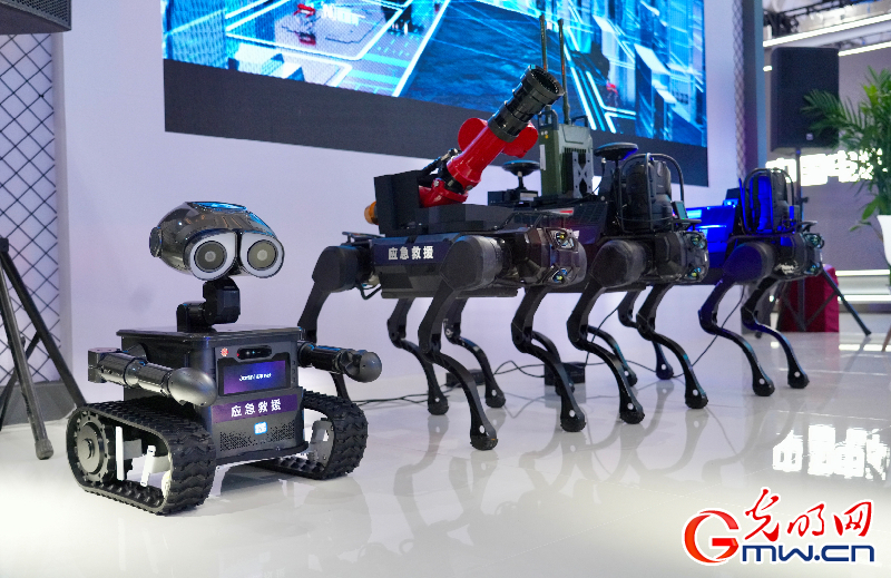 【乌镇视窗】互联网之光博览会丨洞察AI新局,智启数智未来 【乌镇视窗】互联网之光博览会丨洞察AI新局,智启数智未来