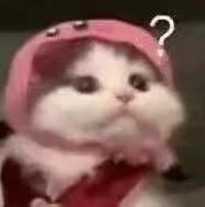 全运会还没开幕,怎么这些比赛都比完了?