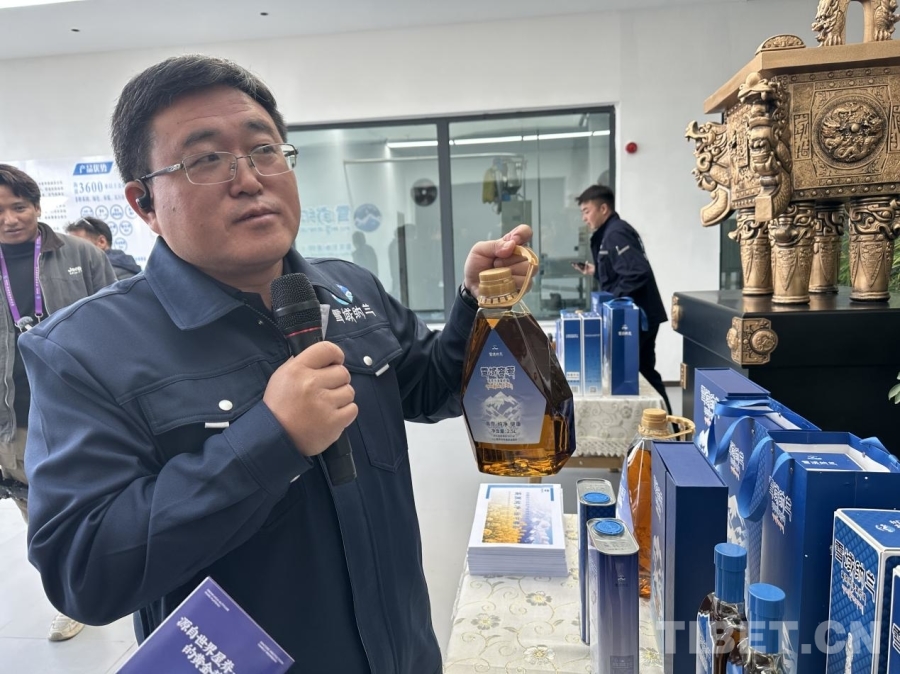 【牢记嘱托 共建美丽新西藏】雪域种油菜 种出乡村振兴好光景