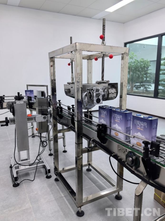 【牢记嘱托 共建美丽新西藏】雪域种油菜 种出乡村振兴好光景