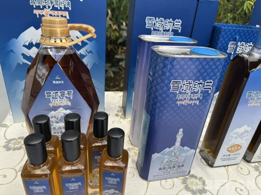 【牢记嘱托 共建美丽新西藏】雪域种油菜 种出乡村振兴好光景