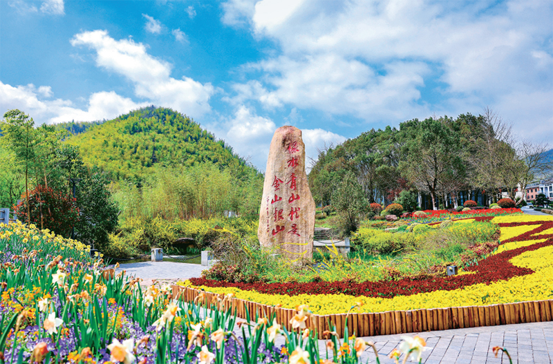 深度调研 | 余村调查