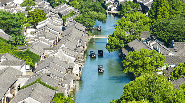 今日平说 | 何以乌镇