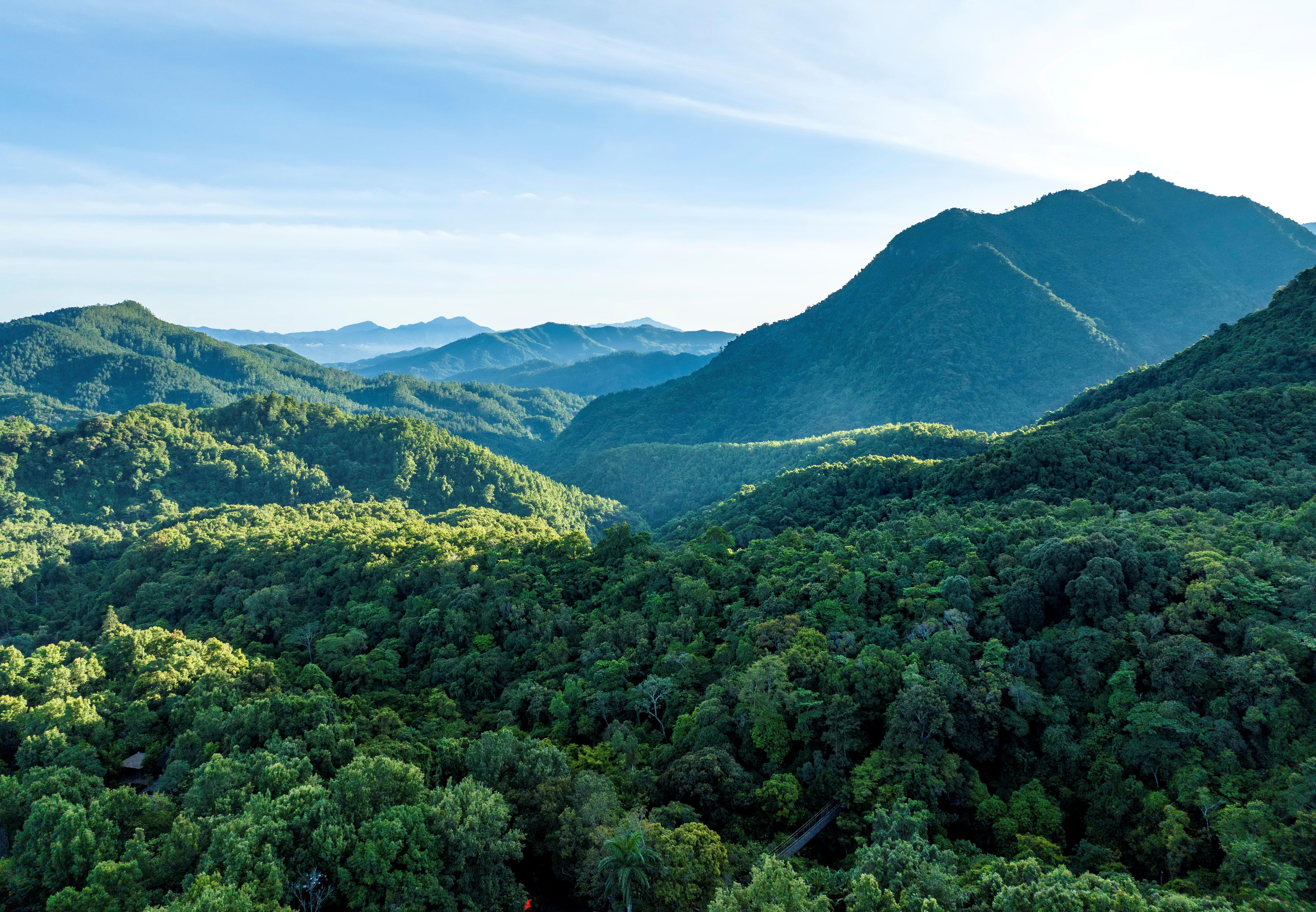 时政微观察丨建设海南自由贸易港,总书记把脉定向