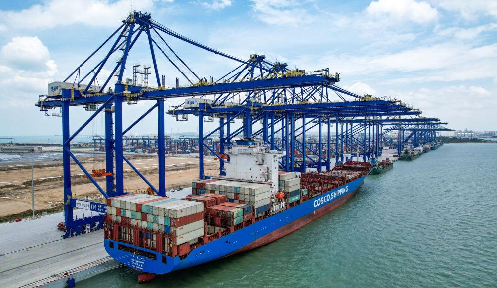 时政微观察丨建设海南自由贸易港,总书记把脉定向