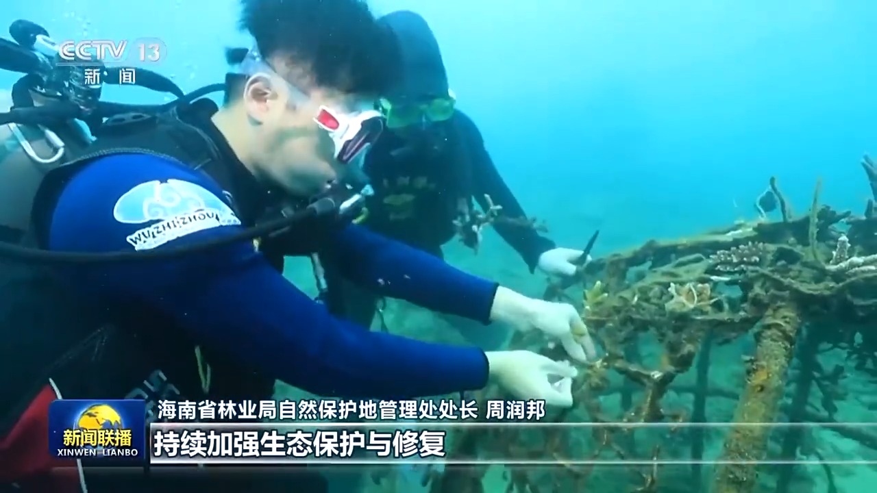 视频丨高标准建设海南自由贸易港 总书记重要讲话引发热烈反响