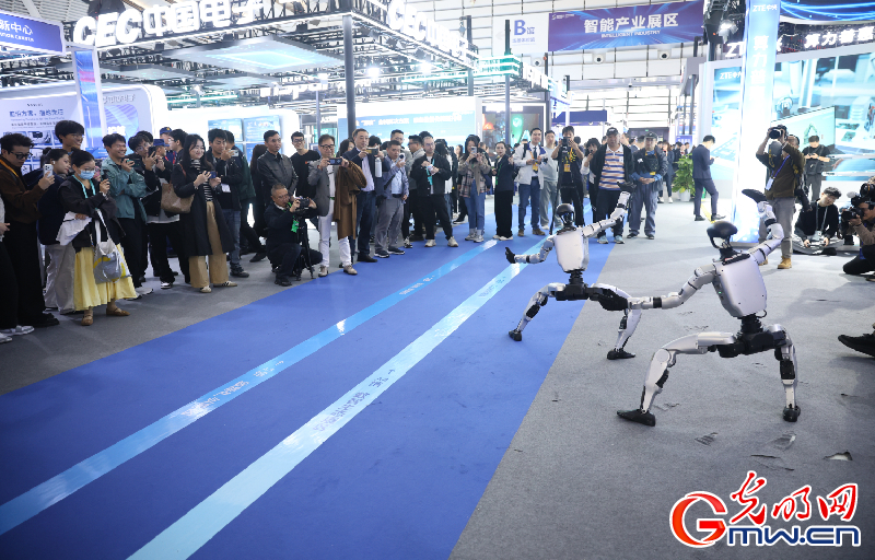 【乌镇视窗】互联网之光博览会|机器人带来的温暖与趣味 【乌镇视窗】互联网之光博览会|机器人带来的温暖与趣味