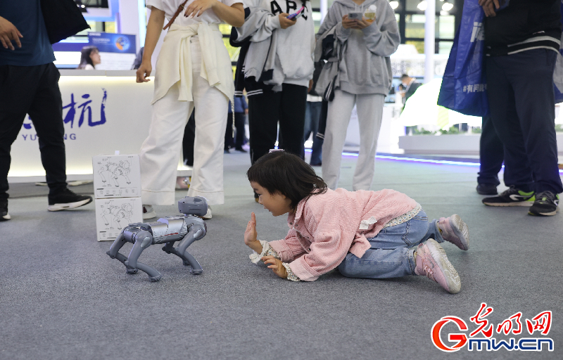 【乌镇视窗】互联网之光博览会|机器人带来的温暖与趣味 【乌镇视窗】互联网之光博览会|机器人带来的温暖与趣味