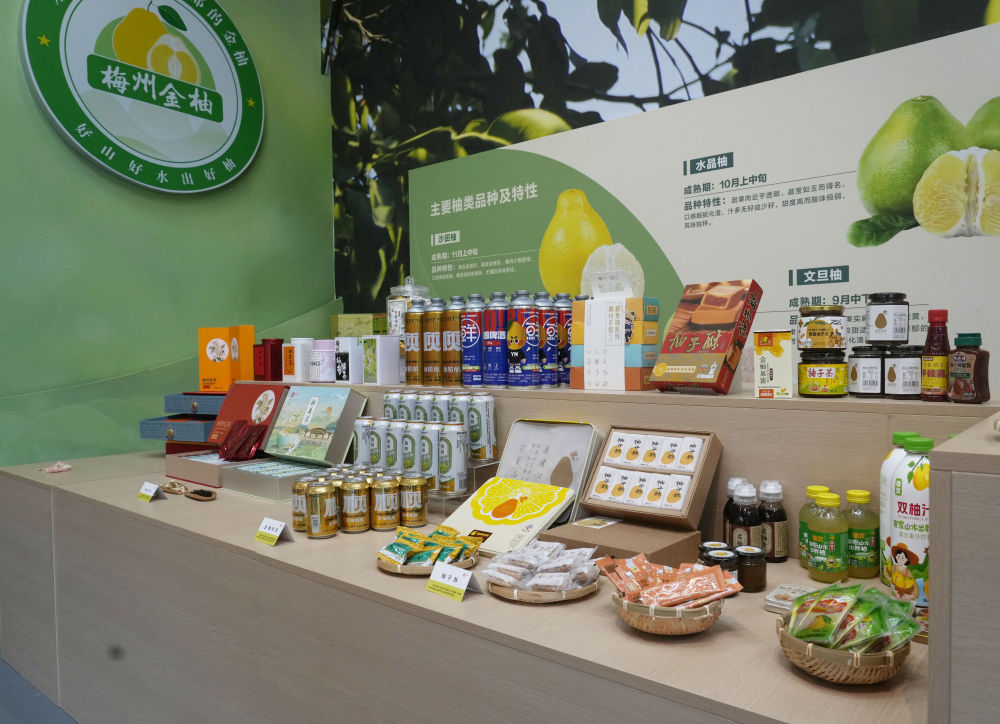 第1视点|乡村振兴路 金柚正飘香