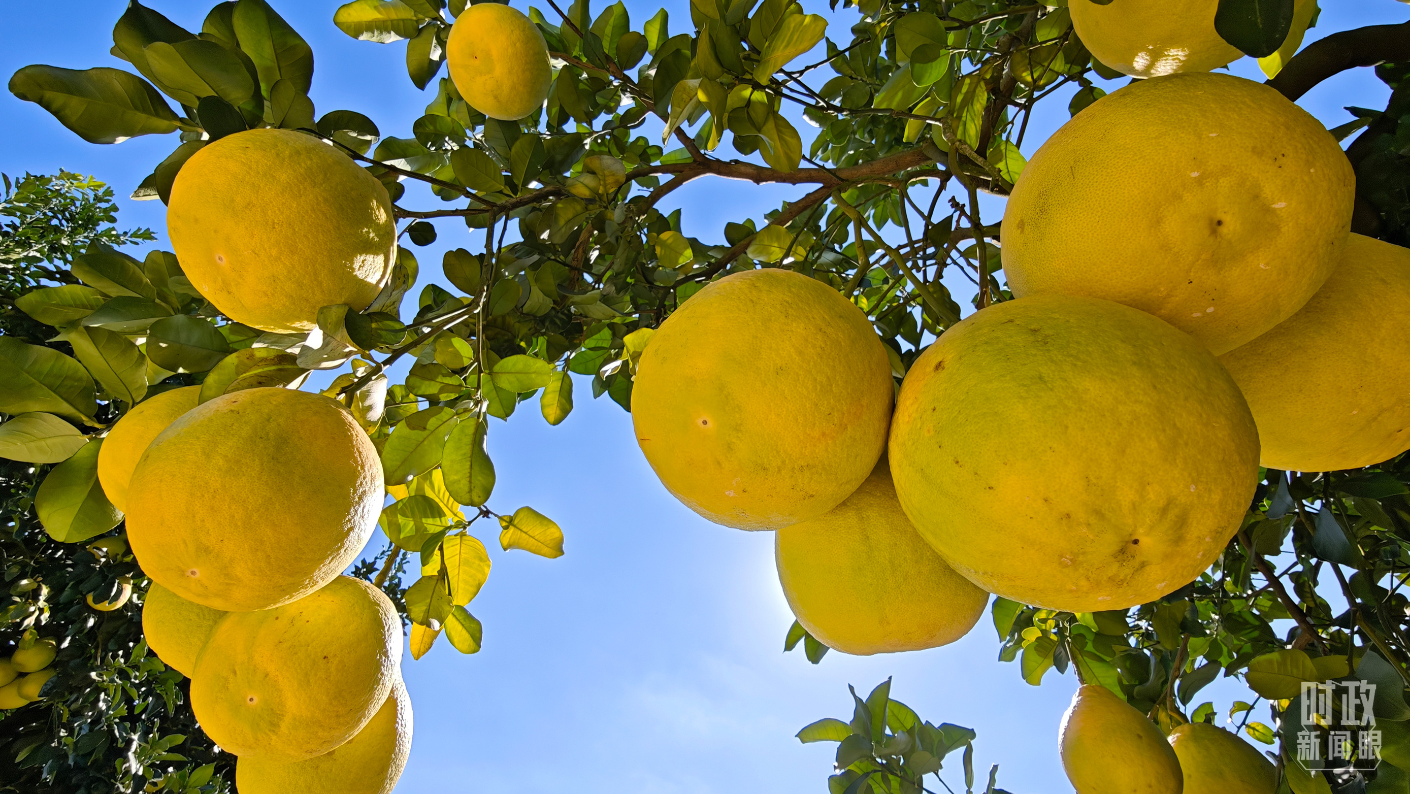 时政新闻眼丨四中全会后首次考察,习近平来到广东梅州