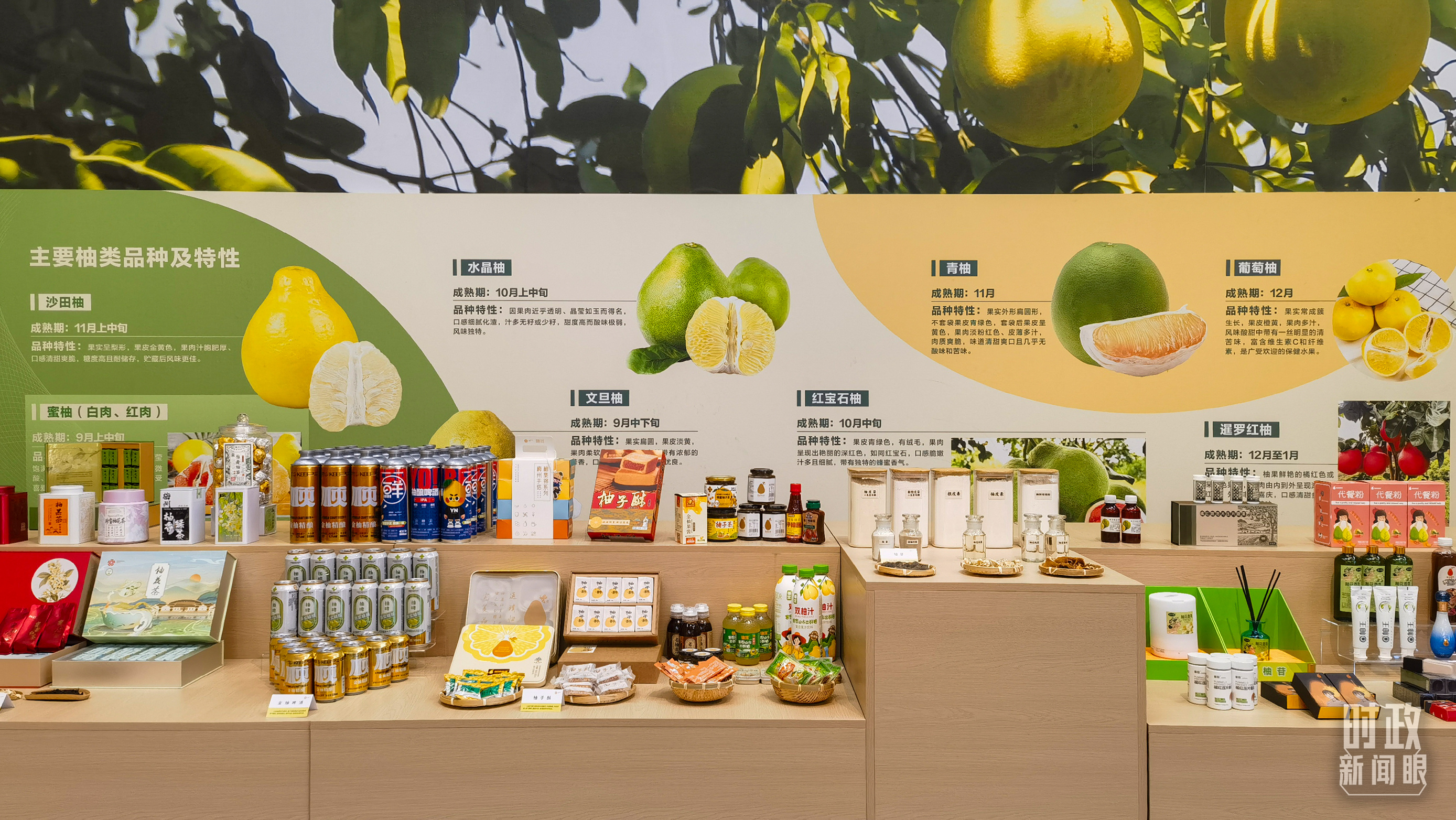 时政新闻眼丨四中全会后首次考察,习近平来到广东梅州