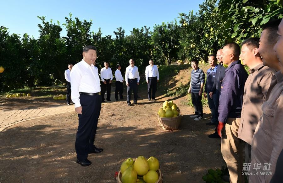 学习进行时|习近平总书记关心推动老区发展振兴的故事 学习进行时|习近平总书记关心推动老区发展振兴的故事