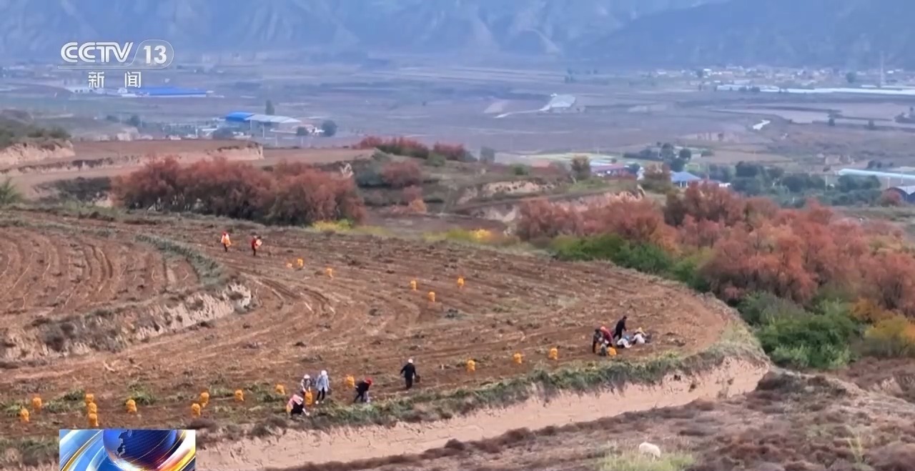 从“无机可用”到“优机可选” 小农机在丘陵山区更快更好“跑”了起来