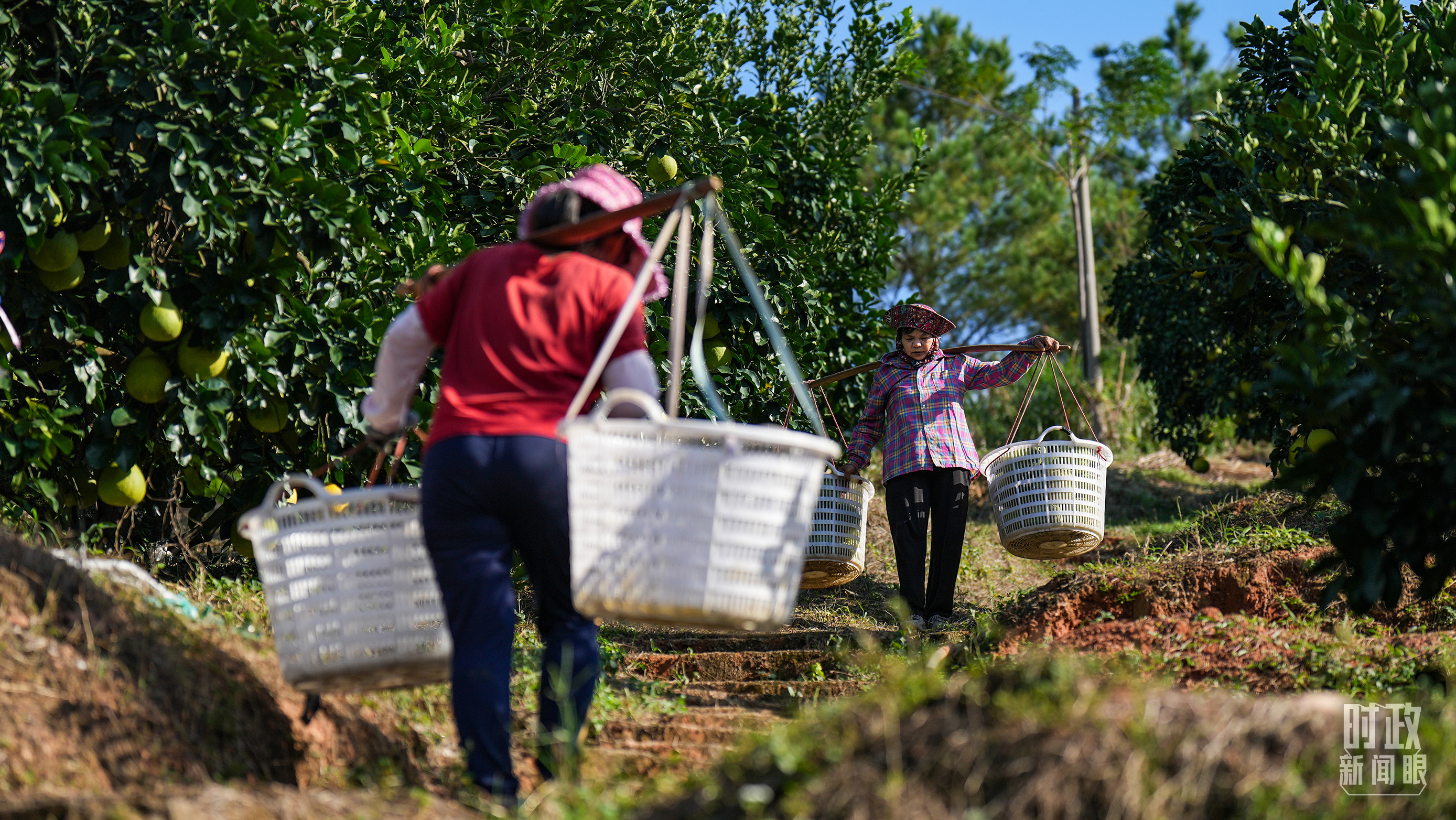 时政新闻眼丨“十五五”如何走在前、作示范、挑大梁?习近平为广东发展作出战略指引