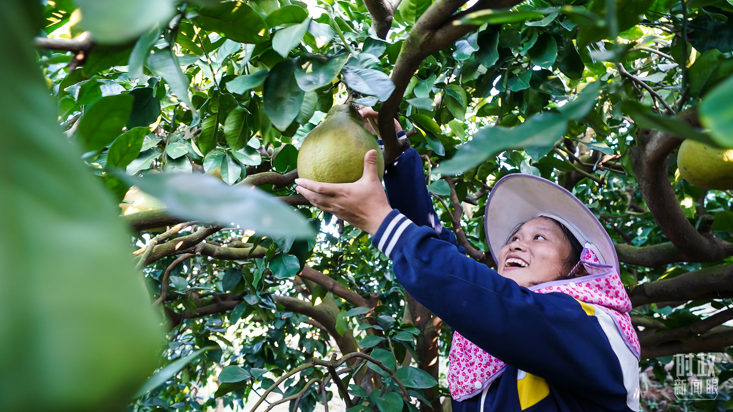 时政新闻眼丨“十五五”如何走在前、作示范、挑大梁?习近平为广东发展作出战略指引