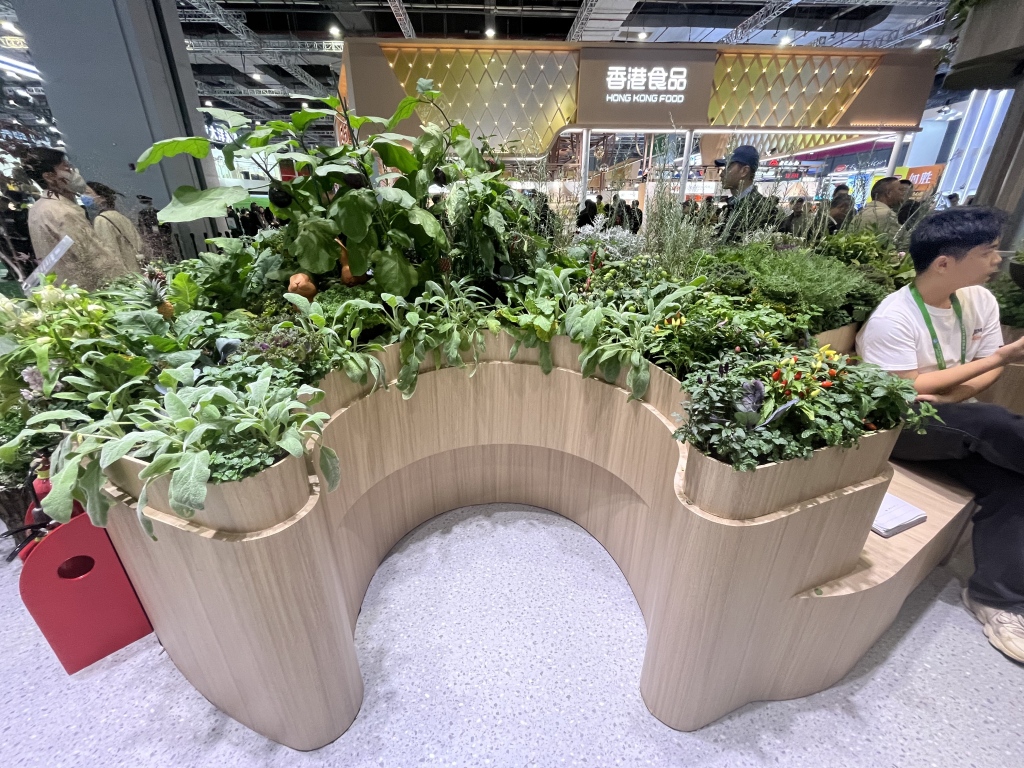 何为进博|消费新图景,正从四叶草“溢出” 何为进博|消费新图景,正从四叶草“溢出”